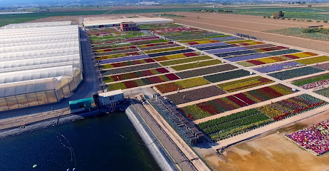 Imagen de Viveros Bermejo situado en Totana, Murcia