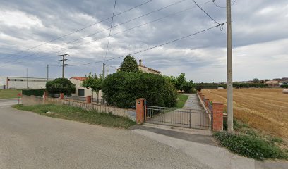 Imagen de Viveros Bosch situado en Celrà, Girona