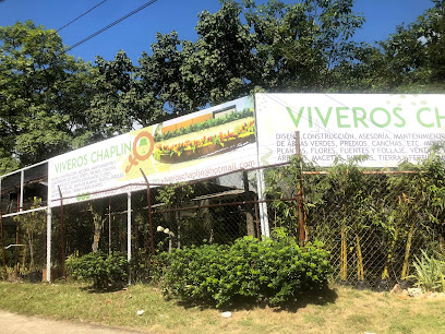 Imagen de Viveros CHAPLIN uvm situado en Villahermosa, Tabasco