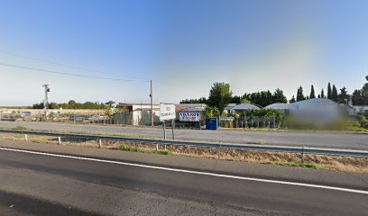 Imagen de Viveros Candi situado en Carrión de Calatrava, Ciudad Real