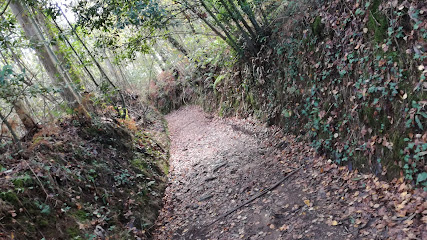 Imagen de Viveros Cerviño situado en Guiliade, A Coruña