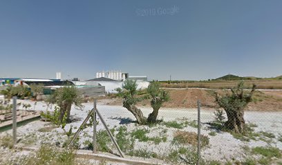 Imagen de Viveros Cintruénigo. situado en Cintruénigo, Navarra