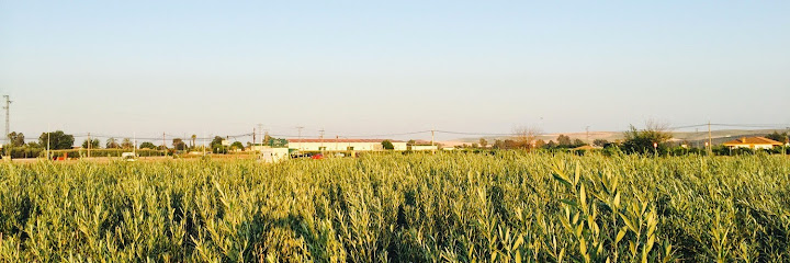 Imagen de Viveros CordoPlant situado en Córdoba, Córdoba