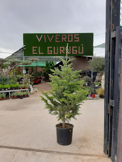 Imagen de Viveros El Gurugú situado en Molina de Segura, Murcia