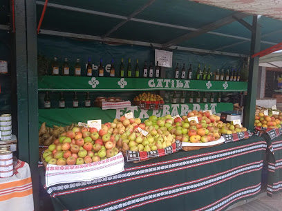 Imagen de Viveros Etxebarria situado en Igartua, Biscay