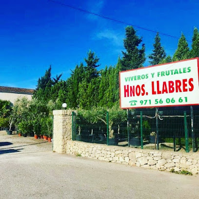 Imagen de Viveros Hermanos Llabres situado en Palma, Balearic Islands