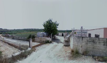 Imagen de Viveros Hidalgo situado en Torrent, Valencia