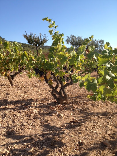 Imagen de Viveros Hilario situado en Ontinyent, Valencia