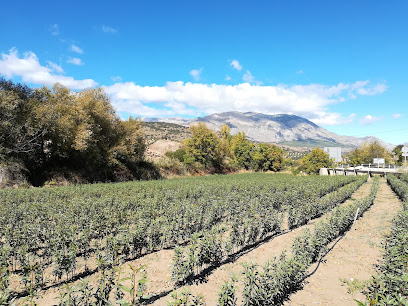 Imagen de Viveros Huelma situado en Huelma, Jaén