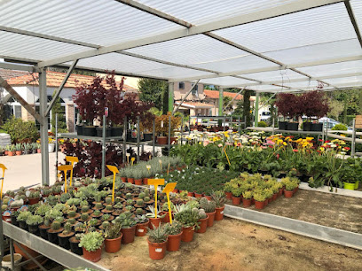 Imagen de Viveros Izquierdo Centro De Jardinería situado en Villaviciosa de Odón, Madrid