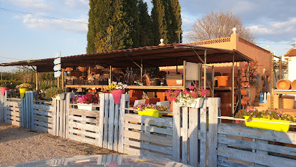 Imagen de Viveros JAZMÍN situado en Castellón de la Plana, Castellón