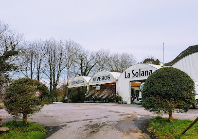 Imagen de Viveros, Jardinería y Proyectos La Solana S.L. situado en Llanes, Asturias