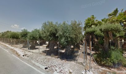 Imagen de Viveros La Hidro situado en Elche, Alicante