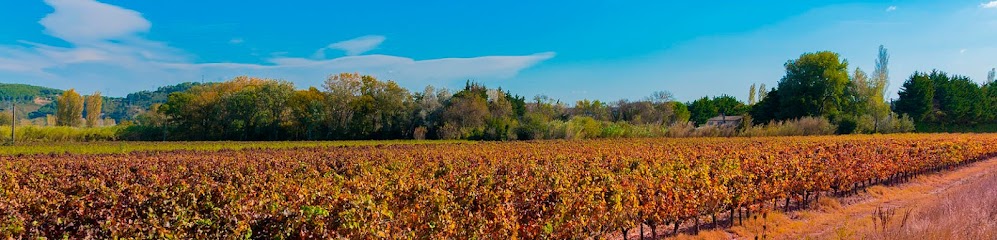 Imagen de Viveros Lagunilla · Vivero de Vid en Navarra situado en Berbinzana, Navarra