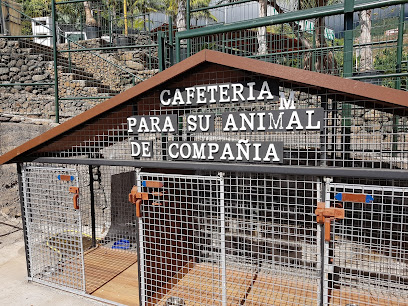 Imagen de Viveros Las Breñas situado en San Pedro, Santa Cruz de Tenerife