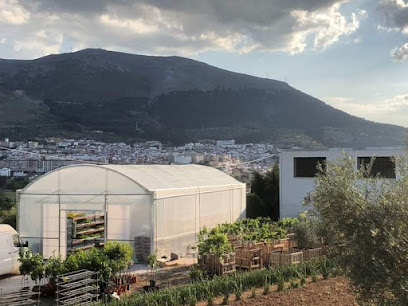 Imagen de Viveros Luis Sánchez situado en Loja, Granada