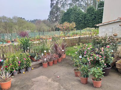 Imagen de Viveros Madiedo | El Garden de María Eugenia situado en Castiello de Lué, Asturias