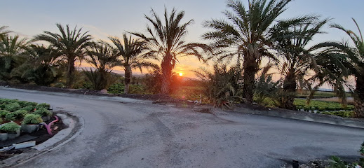 Imagen de Viveros Medipalm SA situado en San Juan de los Terreros, Almería