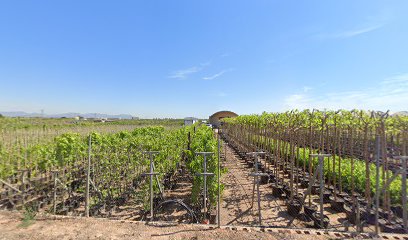 Imagen de Viveros Mirambell situado en Foios, Valencia