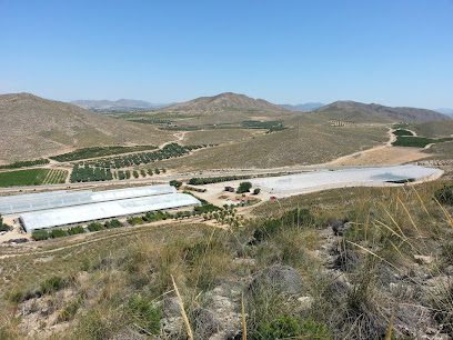 Imagen de Viveros Monreal - Hellín situado en Hellín, Albacete