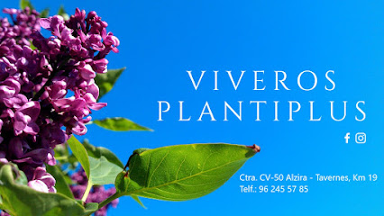 Imagen de Viveros Plantiplus situado en Alzira, Valencia