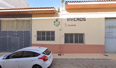 Imagen de Viveros Plantvid Sl situado en Aielo de Malferit, Valencia