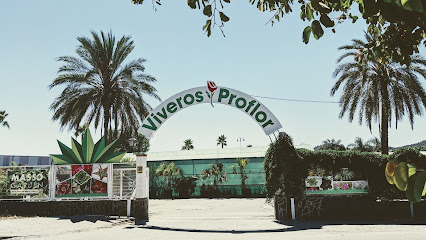 Imagen de Viveros Proflor Plantas Mijas situado en Las Lagunas de Mijas, Málaga