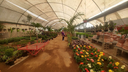 Imagen de Viveros Rancho Calderón Suc. Tetlán situado en Guadalajara, Jalisco