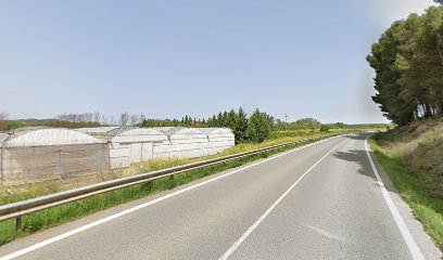 Imagen de Viveros RioHondo situado en nan, Navarra