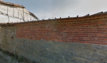 Imagen de Viveros Tierra situado en Zuñeda, Burgos