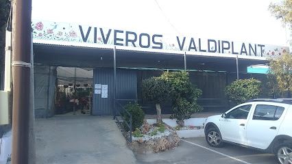 Imagen de Viveros Valdiplant SL situado en Marinas ( Las ), Almería