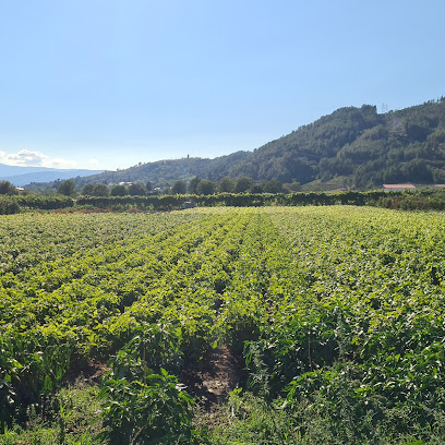 Imagen de Viveros Valeiras situado en Vilamartín de Valdeorras, Province of Ourense