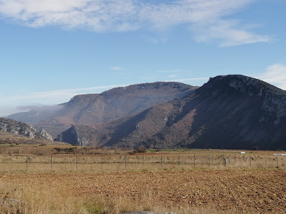 Imagen de Viveros Veplam situado en Torrecilla en Cameros, La Rioja