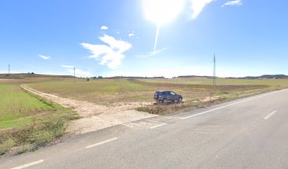 Imagen de Viveros Zona Verde situado en El Burgo de Osma, Soria