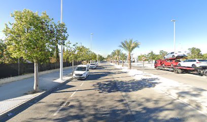 Imagen de Viveros algoros citricos situado en Elche, Alicante