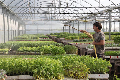 Imagen de Viveros hortícolas Roig situado en La Vilavella, Castellón