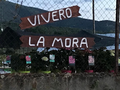 Imagen de Viveros la Mora situado en Bembibre, León