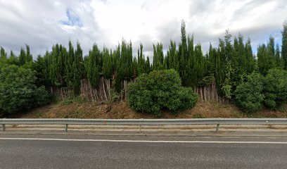 Imagen de Viveros la Vinya S.A.T. situado en Vilassar de Mar, Barcelona