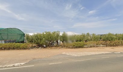 Imagen de Viveros y Semillas Hortiplant, S.L. situado en Fuente Carreteros, Córdoba