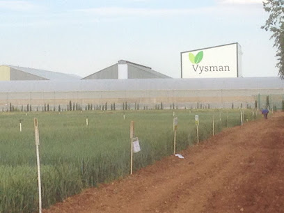 Imagen de Viveros y Semilleros de la Mancha - VYSMAN situado en Cinco Casas, Ciudad Real