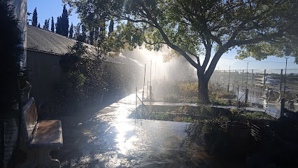 Imagen de Vivers Queralt SL situado en Vinaròs, Castellón