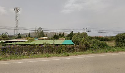 Imagen de ZONES VERDES S.L. situado en Capdepera, Balearic Islands