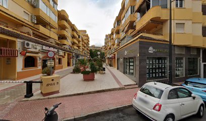 Imagen de jardineria la marina situado en Calp, Alicante