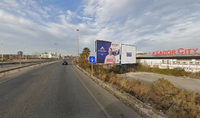 Imagen de plantas aloevera situado en Elche, Alicante